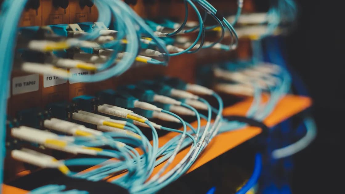 VLESS Reality vs Shadowsocks: Key Differences