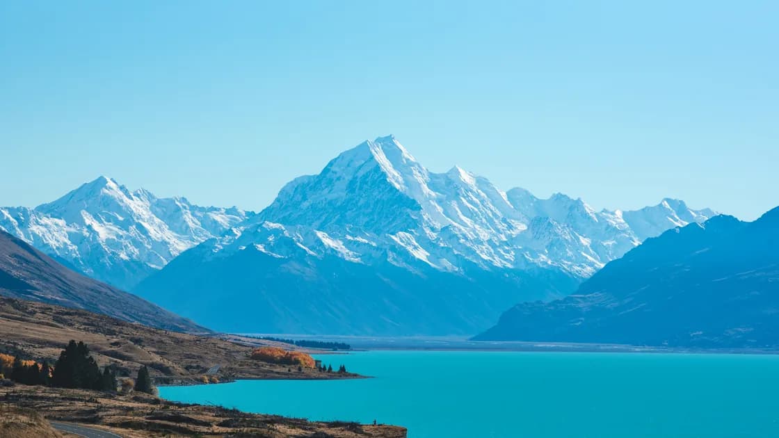 New Zealand Arrival and Biosecurity Guide